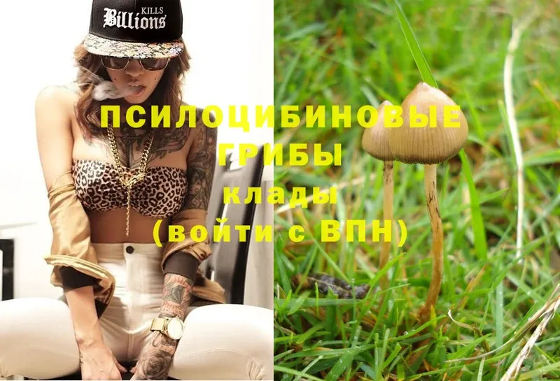 где купить наркоту  Палласовка  Псилоцибиновые грибы MAGIC MUSHROOMS 